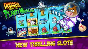 ow7777 Live Casino